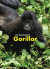 Gorillor: en spännande upptäcktsresa i Kongo -- Bok 9789198559460