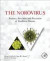 The Norovirus -- Bok 9780128041772