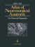 Atlas of Neurosurgical Anatomy -- Bok 9781461388258