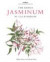 Botanical Magazine Monograph. The Genus Jasminum in Cultivation -- Bok 9781842460115