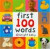 Big Board First 100 Words -- Bok 9780312495411