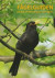 Fågelguiden: lär dig känna igen 150 fåglar -- Bok 9789179854959