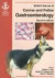 BSAVA Manual of Canine and Feline Gastroenterology -- Bok 9780905214733