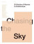 Chasing the Sky -- Bok 9781946226020