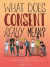 What Does Consent Really Mean? -- Bok 9780857012852