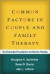Common Factors in Couple and Family Therapy -- Bok 9781606233252