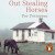 Out Stealing Horses -- Bok 9781473597938