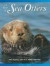 A Raft of Sea Otters -- Bok 9780966649048