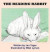 The Reading Rabbit -- Bok 9781938998003