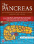 Pancreas -- Bok 9781119188414