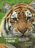 Minifakta om tigrar -- Bok 9789188295446