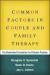 Common Factors in Couple and Family Therapy -- Bok 9781462514533