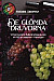 De gl&ouml;mda druvorna : Vinprovarens fullst&auml;ndiga guide till 103 druvsorter i Portugal -- Bok 9789198815504