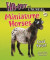 Miniature Horses -- Bok 9780766044104