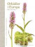Orkidéer i Europa : vilda, vackra & väna -- Bok 9789174240603