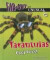Tarantulas: Cool Pets! -- Bok 9780766038837