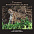 Tracking the Panthera family -- Bok 9781788481175