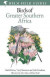 Field Guide to Birds of Greater Southern Africa -- Bok 9781399403221