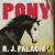Pony -- Bok 9780241553282