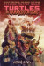 Teenage Mutant Ninja Turtles: The Armageddon Game--Opening Moves -- Bok 9781684059737