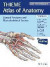 General Anatomy and Musculoskeletal System (THIEME Atlas of Anatomy), Latin Nomenclature -- Bok 9781684200849