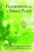 Flourishing in a Small Place -- Bok 9781532674273