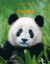 Lätta fakta om pandor -- Bok 9789150221121