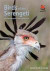 Birds of the Serengeti -- Bok 9780691159102