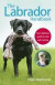 Labrador Handbook -- Bok 9781473527980