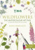RHS Wildflowers Watercolour Art Pad -- Bok 9781784728878
