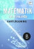 Tummen upp! Matematik kartläggning för nyanlända B -- Bok 9789147123513