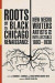 Roots of the Black Chicago Renaissance -- Bok 9780252043055