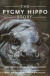 Pygmy Hippo Story -- Bok 9780190627874