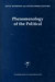 Phenomenology of the Political -- Bok 9780792361633