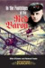 The Red Baron -- Bok 9781844158867