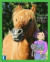 Hästen Tindur, Majsan och katten Elsa -- Bok 9789188195951