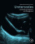 Ureteroceles -- Bok 9780128178881