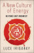 A New Culture of Energy -- Bok 9780231177139