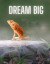Dream Big Notebook -- Bok 9781458340023