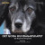 Det goda hundägarskapet : från desperation till inspiration -- Bok 9789189736207