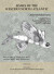 Order Beloniformes: Needlefishes, Sauries, Halfbeaks, and Flyingfishes -- Bok 9781933789347