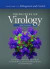 Principles of Virology, Volume 2 -- Bok 9781555819347