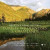 America's Great National Forests, Wildernesses, and Grasslands -- Bok 9780847849154