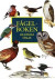 Fågelboken : 200 svenska fåglar -- Bok 9789187841149