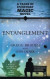 Entanglement -- Bok 9781837820023
