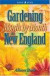 Gardening Month by Month in New England -- Bok 9781551053776
