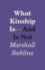 What Kinship Is-And Is Not -- Bok 9780226925127