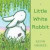Little White Rabbit -- Bok 9780062006424