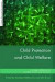 Child Protection and Child Welfare -- Bok 9781849051910