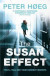 The Susan Effect -- Bok 9781784702267